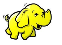 The Hadoop Elephant