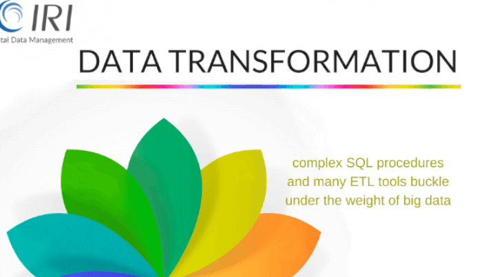 Data Transformation Infographic