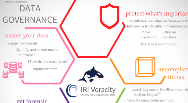 Cropped version of IRI data governance infographic